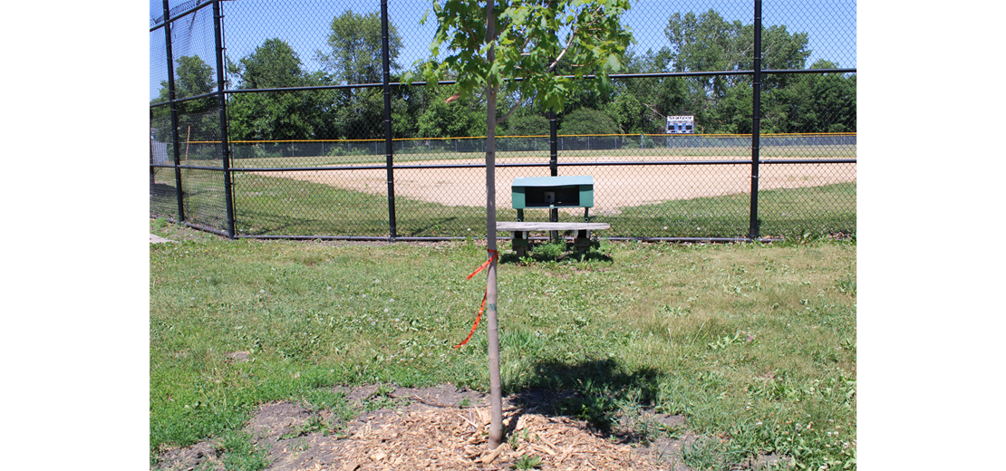 Marshalltown Little League